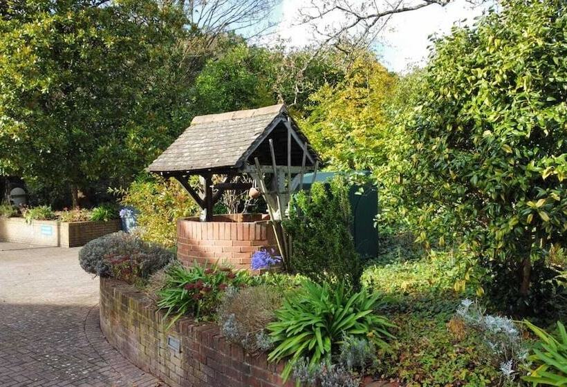 Royal Swan, Ashley Manor   B&b