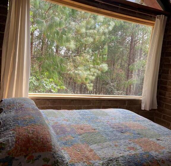 فندق صغير Cabaña En El Bosque