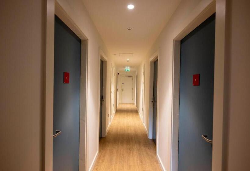 فندق صغير University Of Galway Rooms