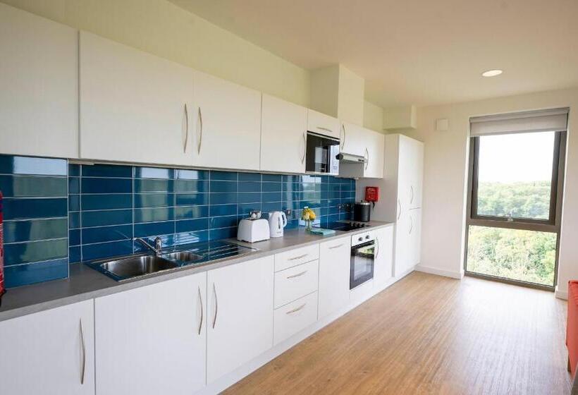 فندق صغير University Of Galway Rooms