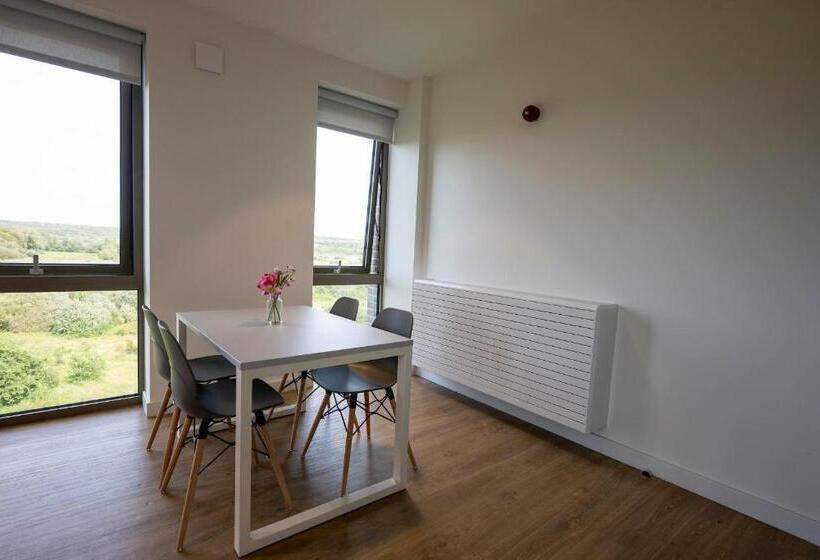 فندق صغير University Of Galway Rooms