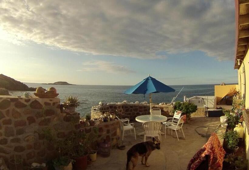 فندق صغير La Bufadora Inn