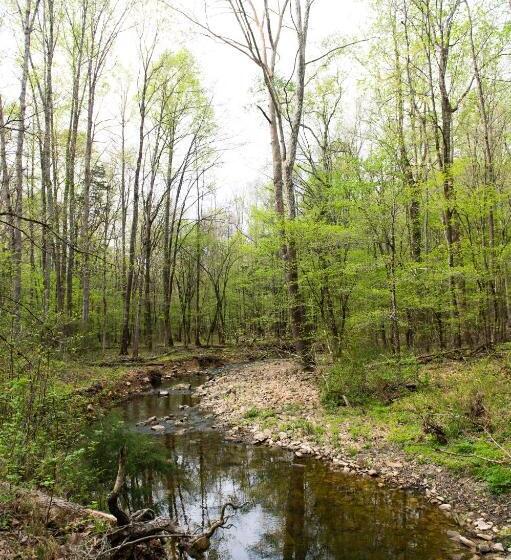 ホテル Juneberry Ridge