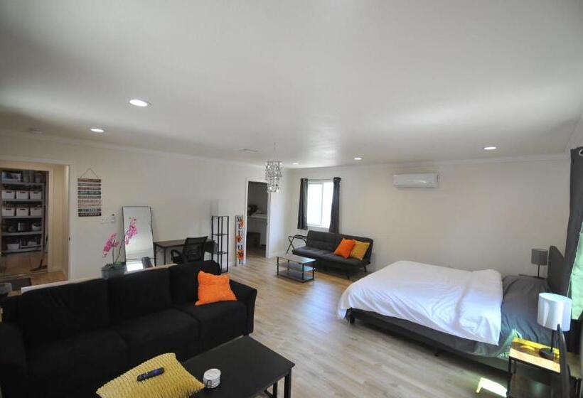 پانسیون Brand New Room With Essentials