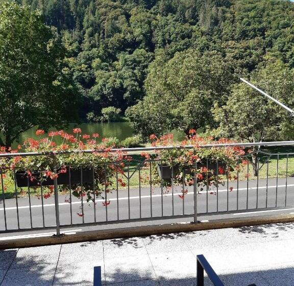 ペンション Haus Moselliebe Charmantes Fruehstuecks Zimmer Mit Balkon Und Blick Auf Die Mosel Raucherfreihaus