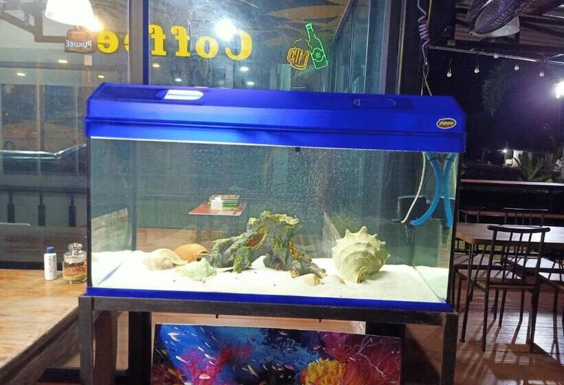 渡假胜地  เกาะช้างรักดี รีสอร์ท