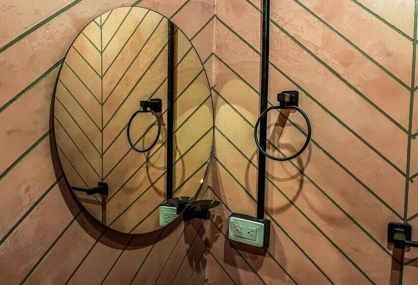 Sr Luis Hotel Boutique   Zona Héroes   Recepción Digital 24h