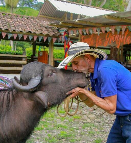 هتل El Remanso Complejo Ecoturistico