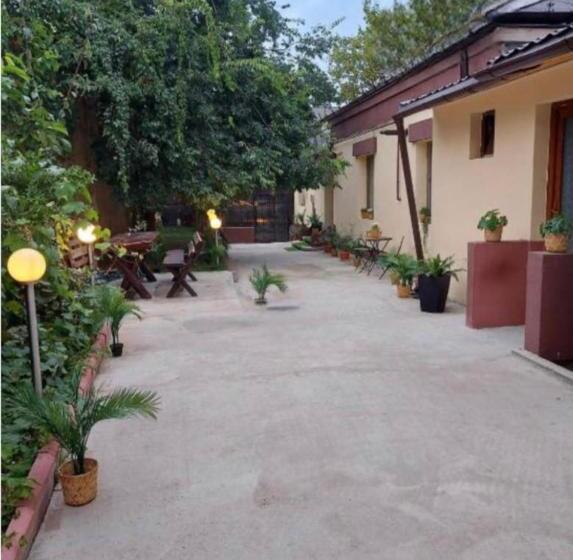 پانسیون Ambiennt