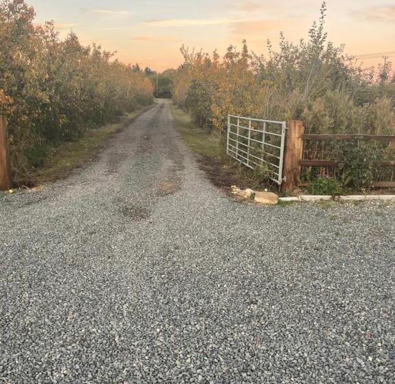 פנסיון Apple Barn Guest House