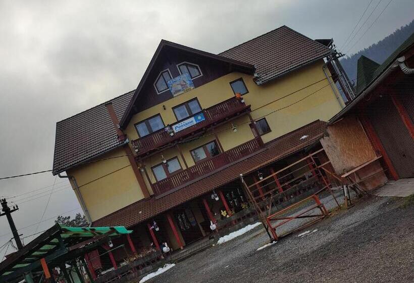 פנסיון Edelweis Floare De Colt