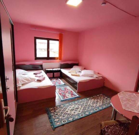 פנסיון Edelweis Floare De Colt