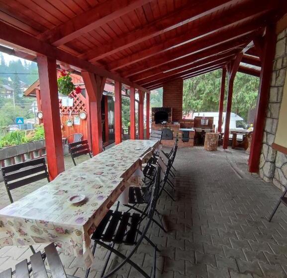 פנסיון Edelweis Floare De Colt