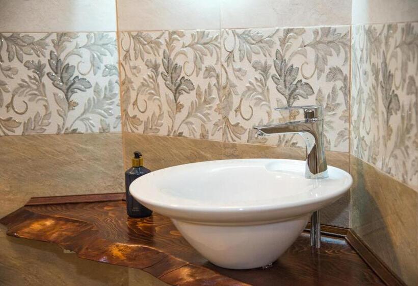 膳宿费 Poiana Transilvaniei