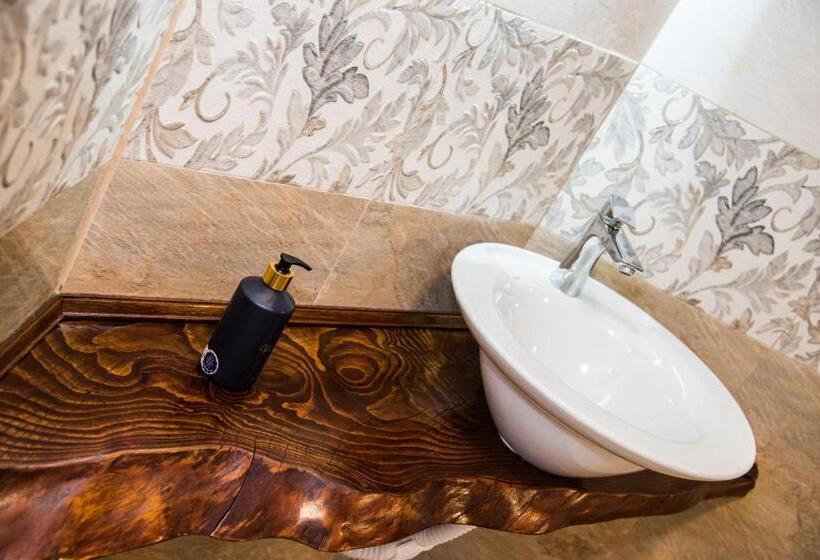 膳宿费 Poiana Transilvaniei