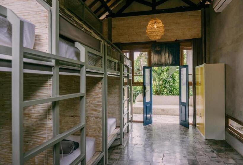 旅馆 Dormitory At Semadi Living