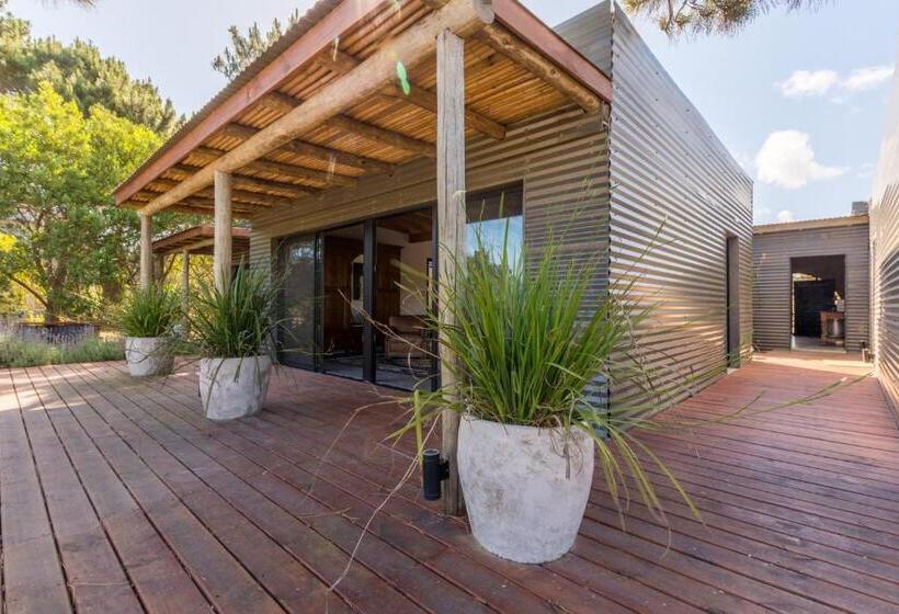 تختخواب و صبحانه Camino Jose Ignacio