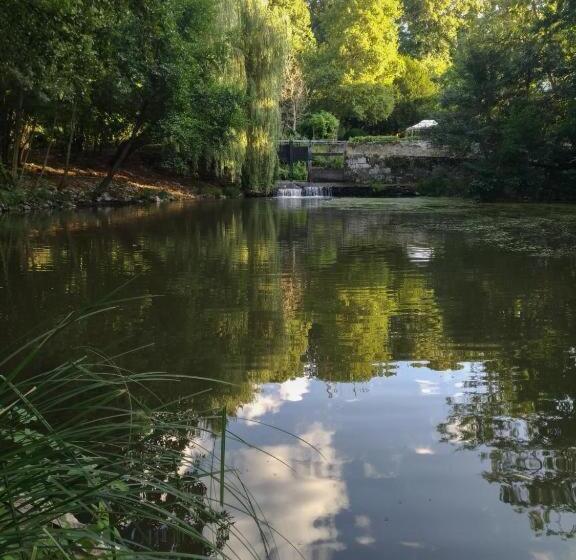 تختخواب و صبحانه Gite Du Meunier, Moulin De Vineuil, 4ch, 2sdb