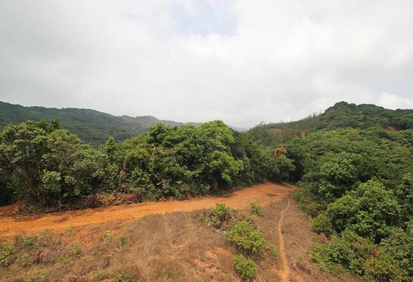 酒店 Capital O Coorg Treehouse