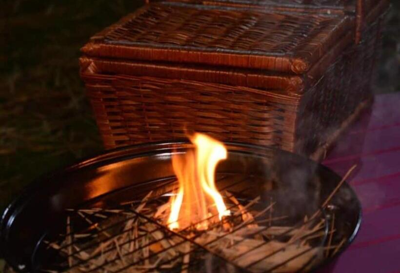 ホテル Hostel Glamping Mistiko Safari   Carmen De Apicala