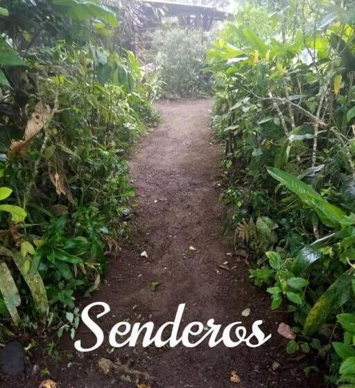 هتل Jardin Botanico Bellavista