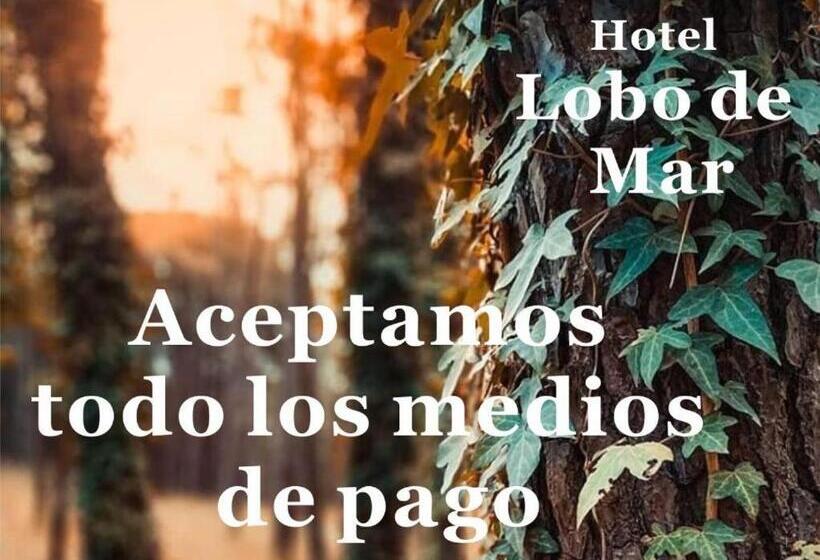 Hotel Lobo De Mar Necochea