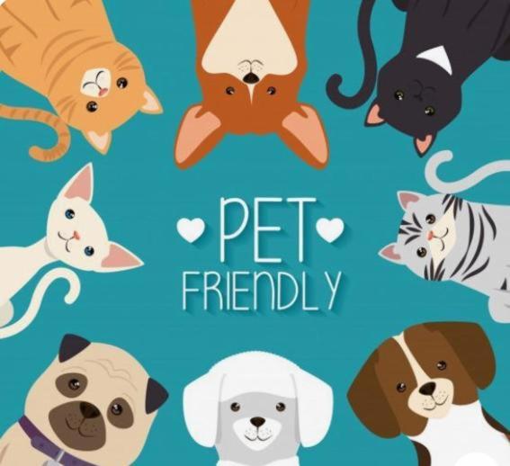 Hotel Lobo De Mar Necochea