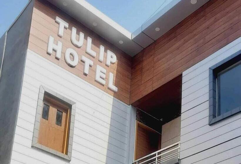 Oyo Hotel Tulip Inn