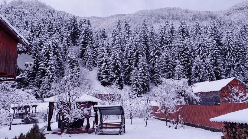 ペンション садиба квітка карпат