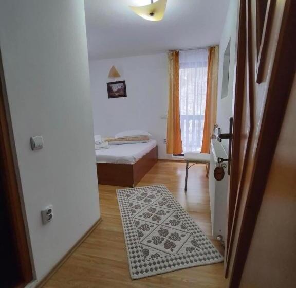 پانسیون Casa Maria Moieciu C