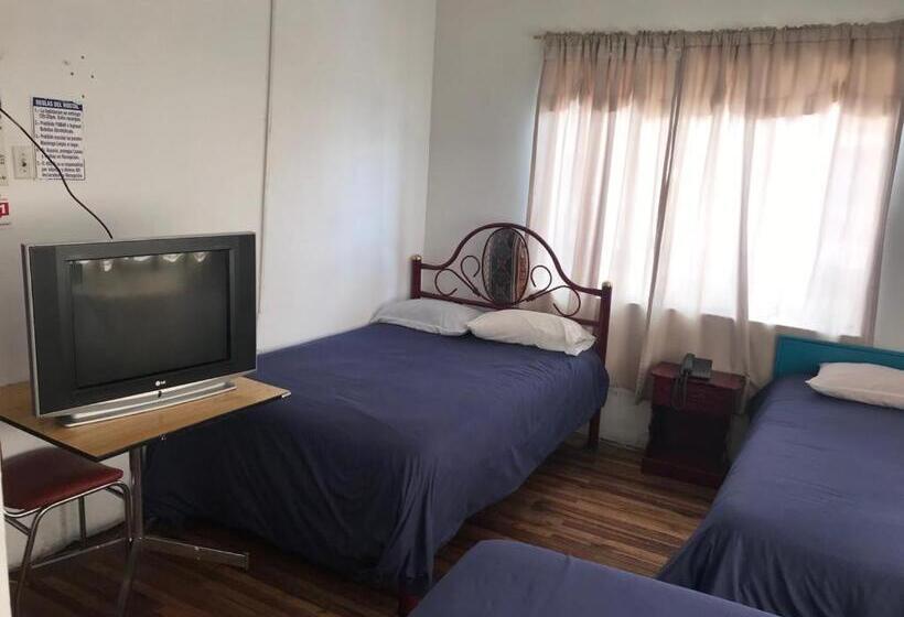 هاستل Hostal Luz Wilson