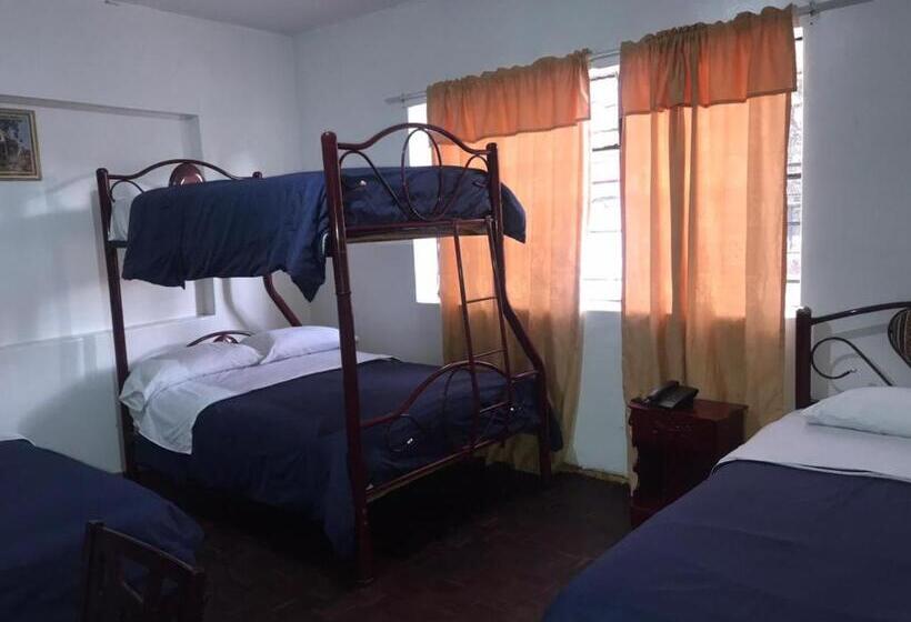 هاستل Hostal Luz Wilson