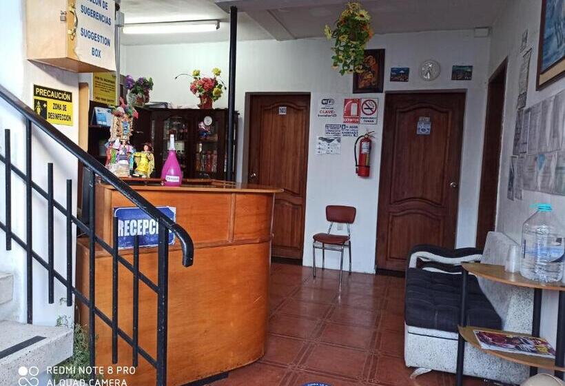 هاستل Hostal Luz Wilson