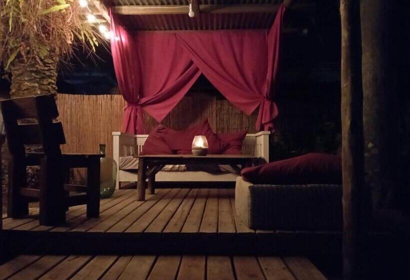 هاستل La Gozadera House