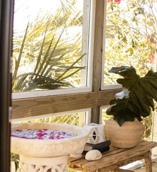 هاستل M A R ė A