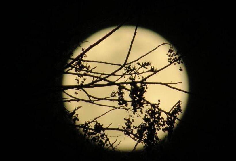 فندق صغير Pousada Luna Zen