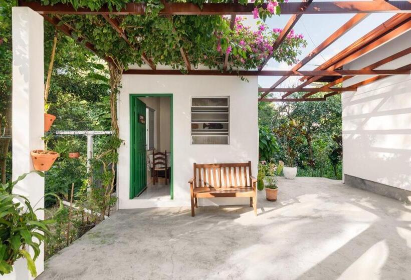旅馆 Pousada Residencial Bambus