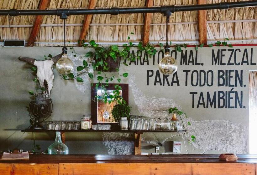 هاستل Puerto Dreams H