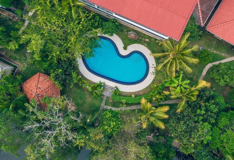 住宿加早餐  Amandro Resort