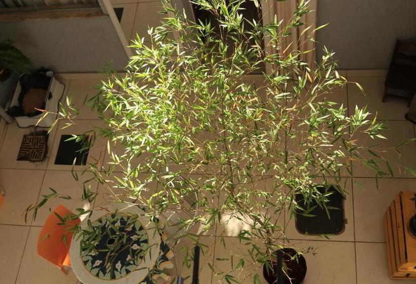 مبيت وإفطار Casa Lumen Home Hostel Lgbt