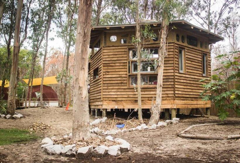 مبيت وإفطار Flor De Vida Geocabañas   Domos Geodésicos