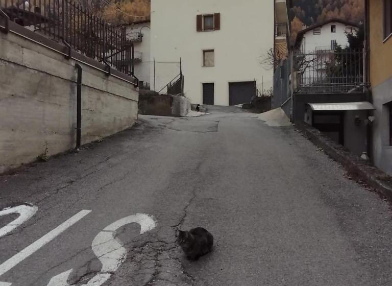 민박 Residenza  Il Gufetto