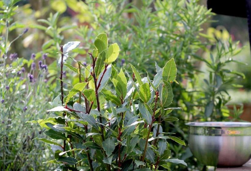 בית מלון כפרי Alter Hof Am Elbdeich