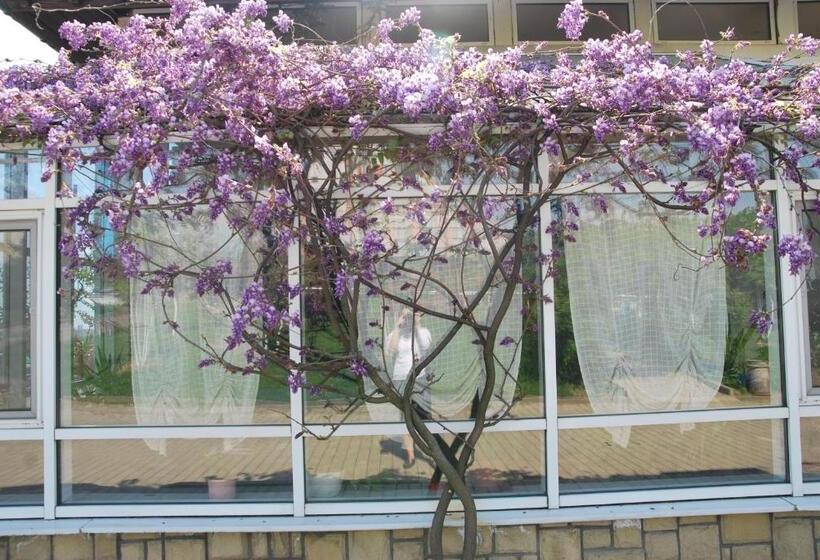 호텔 Guest House Uzhgorod