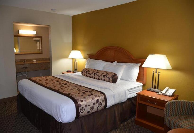 فندق على الطريق Regency Inn