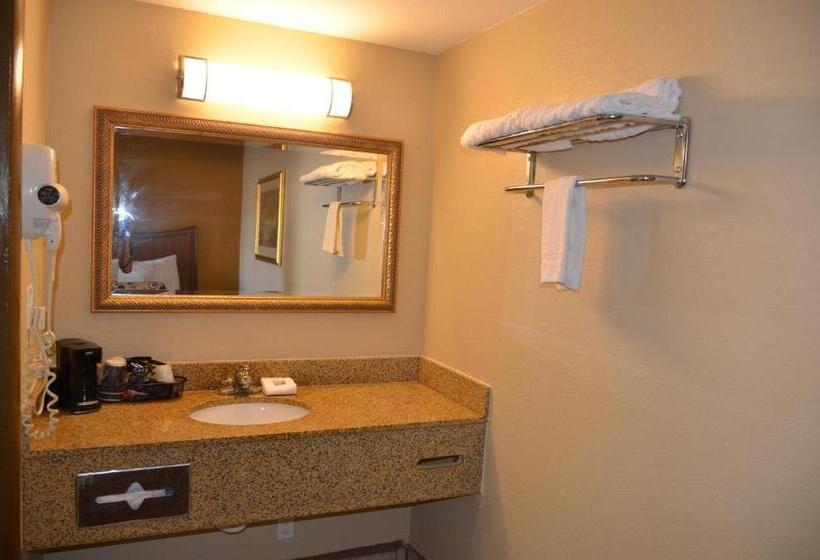 فندق على الطريق Regency Inn