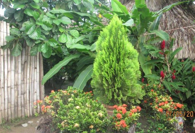 پانسیون Hostel Cattleya