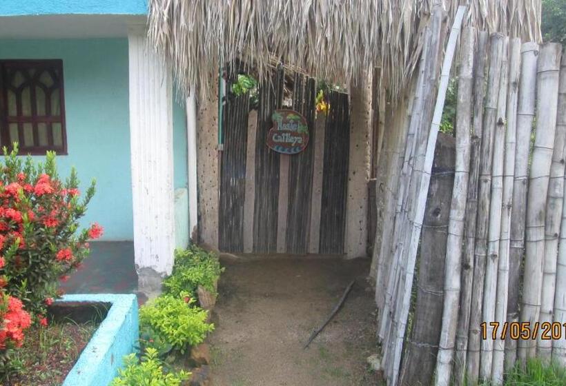 پانسیون Hostel Cattleya