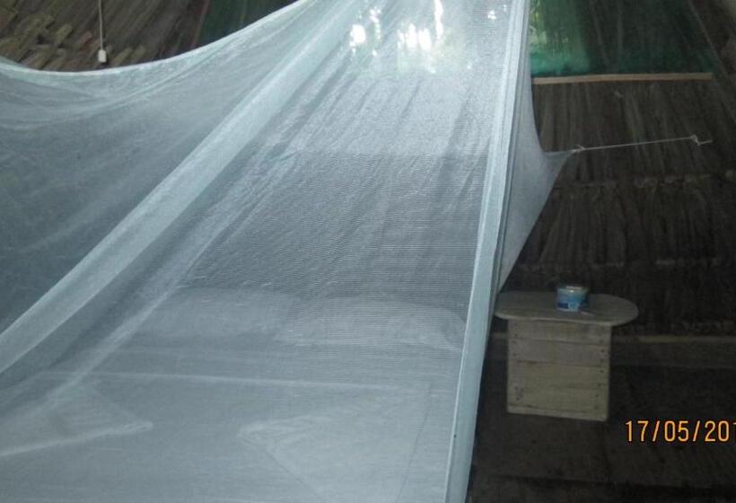 پانسیون Hostel Cattleya