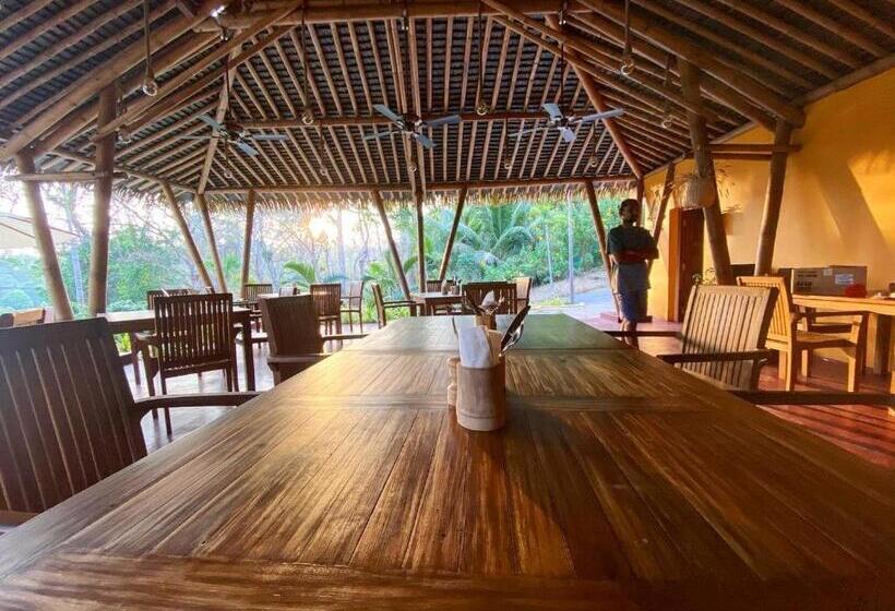 Resort Big Tree Cottages